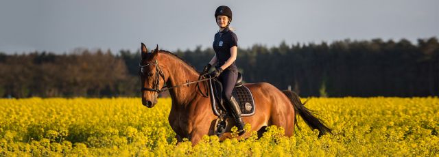 Horse riding lessons